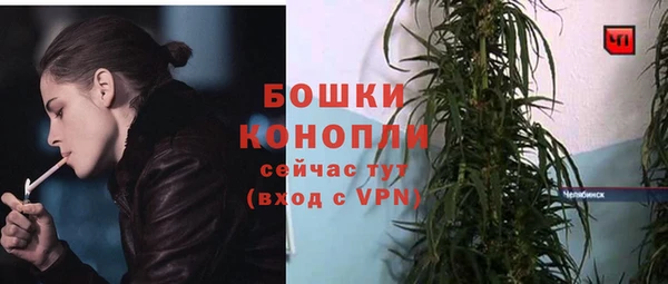 гидра Бородино