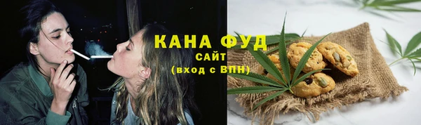 гидра Бородино