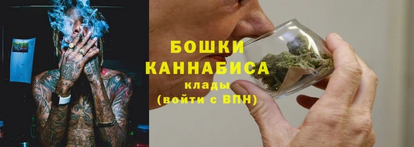 гидра Бородино