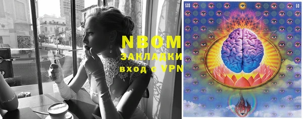 гидра Бородино