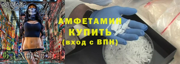 гидра Бородино