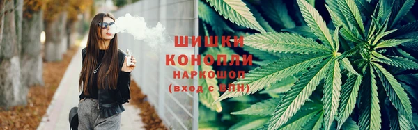 дурь Богданович