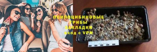 гидра Бородино