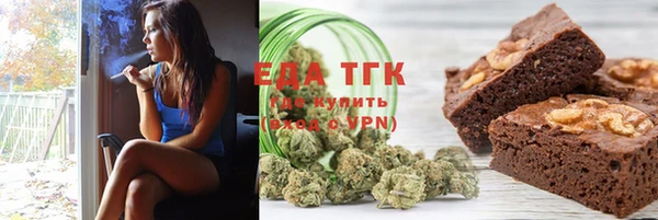 гидра Бородино