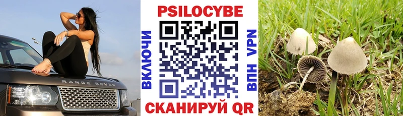 Псилоцибиновые грибы прущие грибы  наркота  Зима 